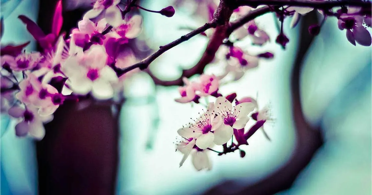 Batch Label Printing: Maximize Fulfillment Efficiency