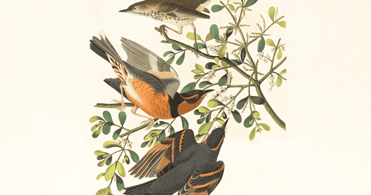 Cheapest Way to Ship Artwork and Framed Prints