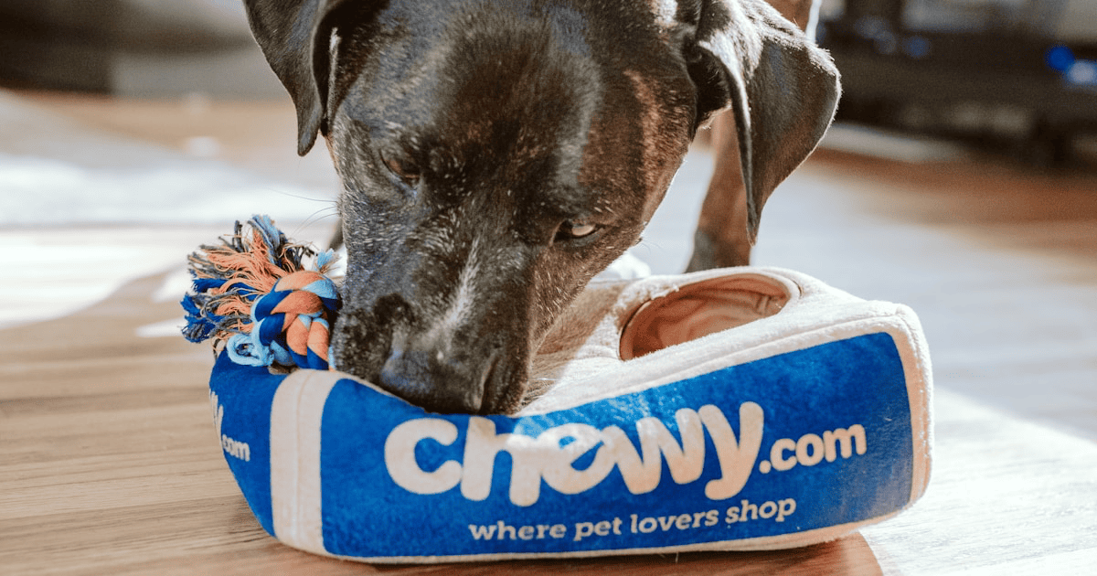 Cheapest Way to Ship Pet Supplies: Food, Beds, and Accessories