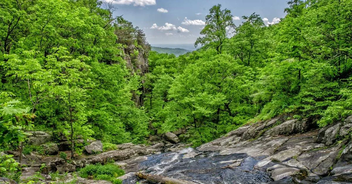 Delivery Confirmation Options: Signature Requirements Guide