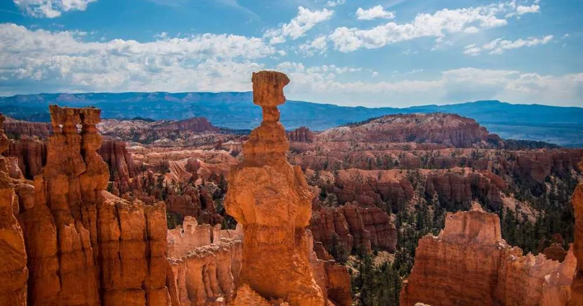 Free Shipping Strategy Guide: When & How to Offer Free Shipping