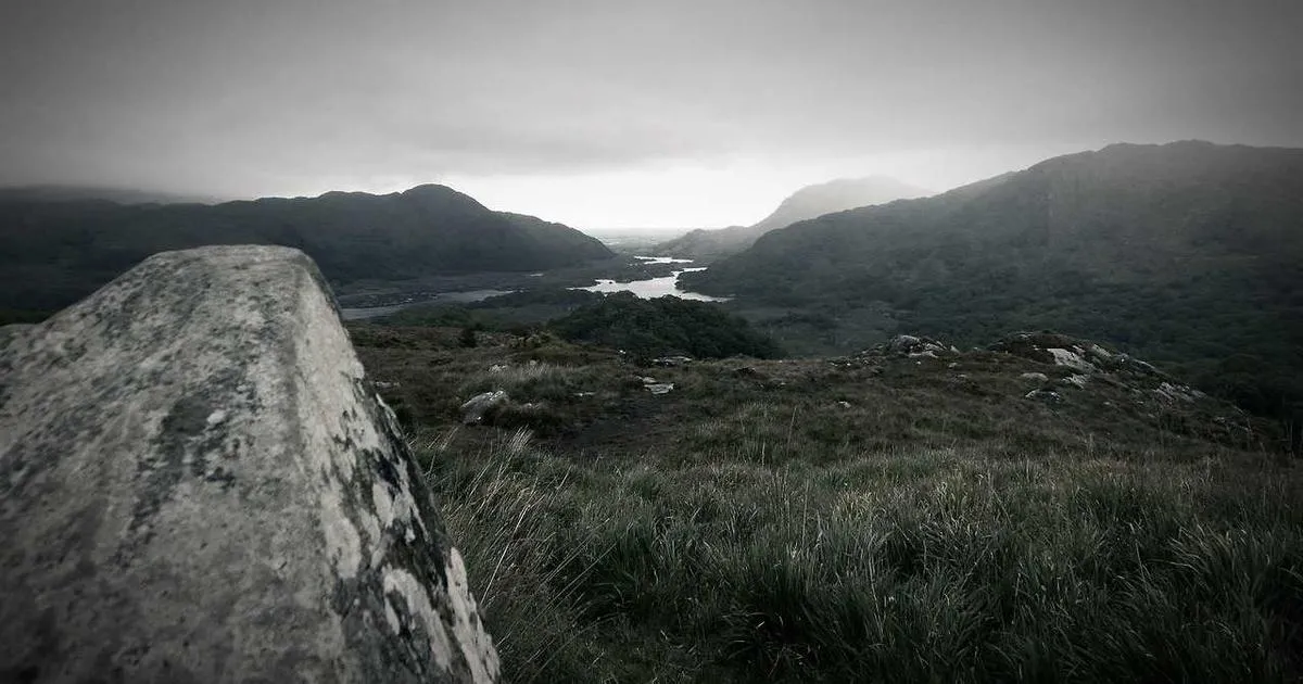 Multi-Carrier Strategy: Benefits & Implementation