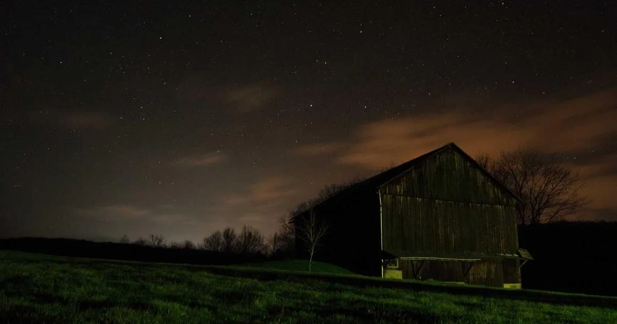 Order Tracking Importance: Reducing Anxiety & Support Costs