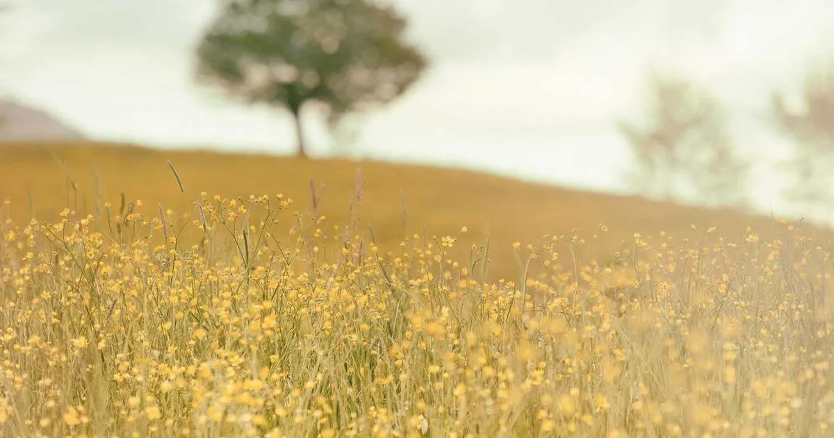 Post-Purchase Experience: Delight Customers After the Sale