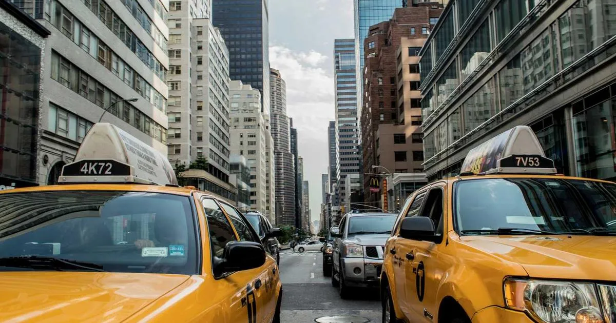 Shipping Automation ROI: Calculate Your Savings