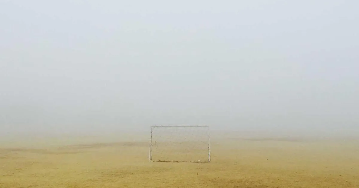 Shipping Chatbot Integration: Automate Customer Support