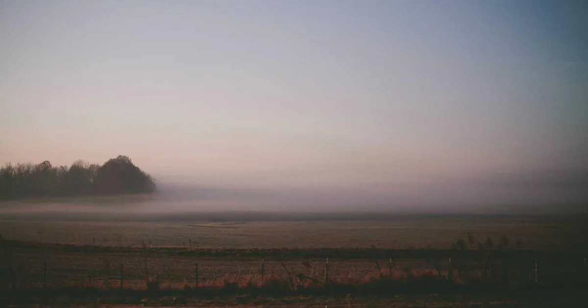 Shipping FAQ for Online Stores: Template & Best Practices