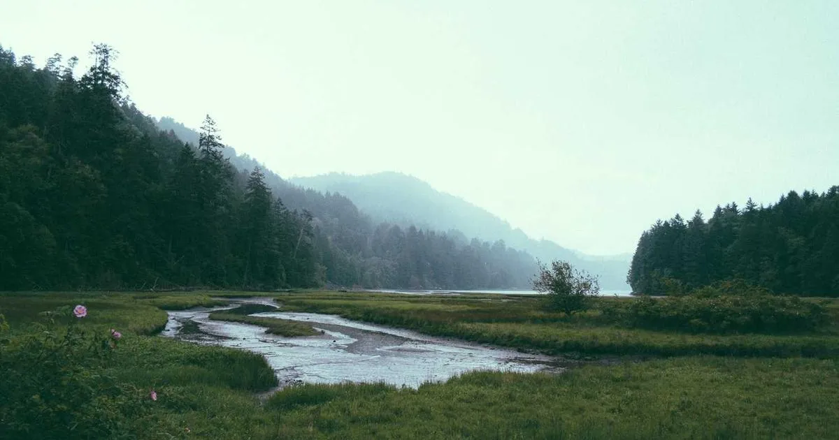 Shipping Firearms: Federal Regulations & Carrier Policies