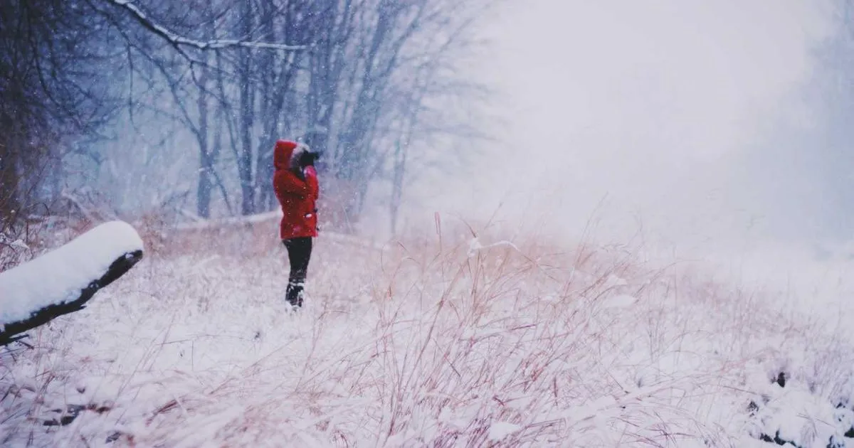 Shipping KPIs & Metrics Guide: Measure What Matters