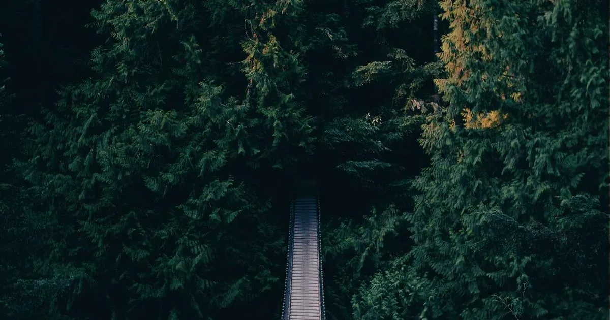 Shipping Notification Emails: Best Practices & Templates