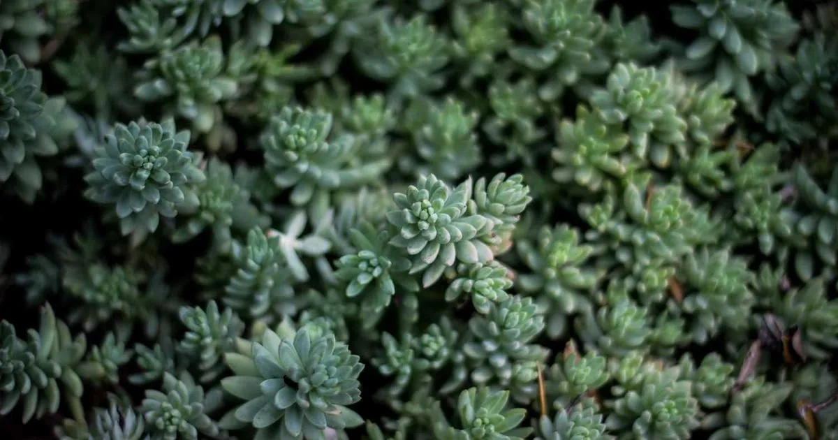 Shipping Perfume & Fragrances: Hazmat Rules Explained