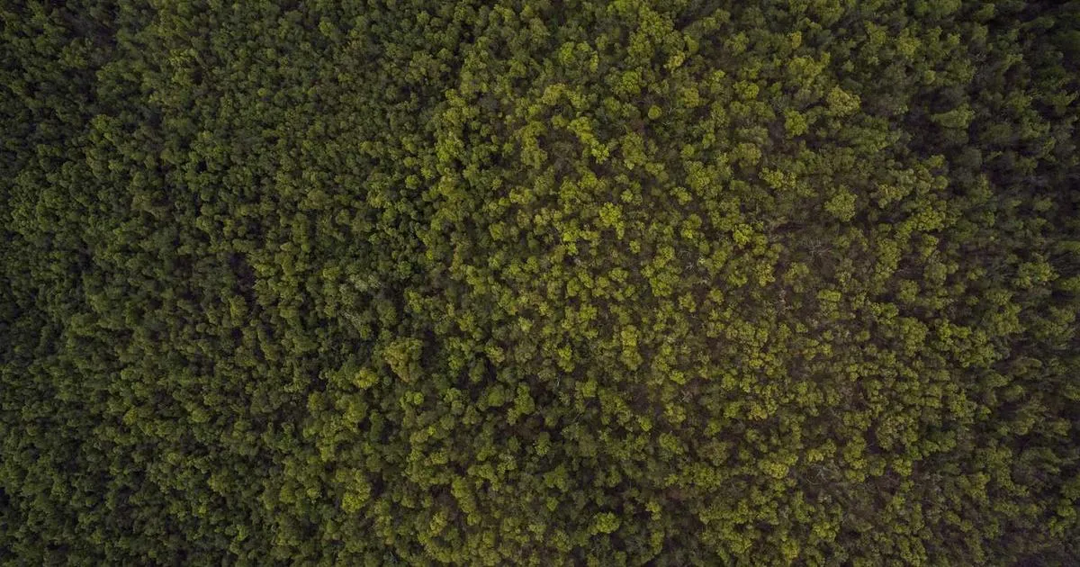 Shipping Team Training Guide: Build a High-Performance Team