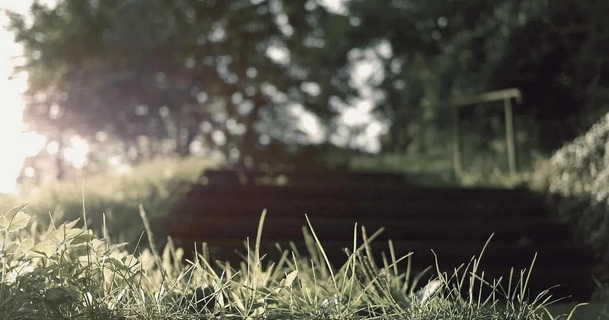 Sustainable Shipping Practices: Eco-Friendly Fulfillment