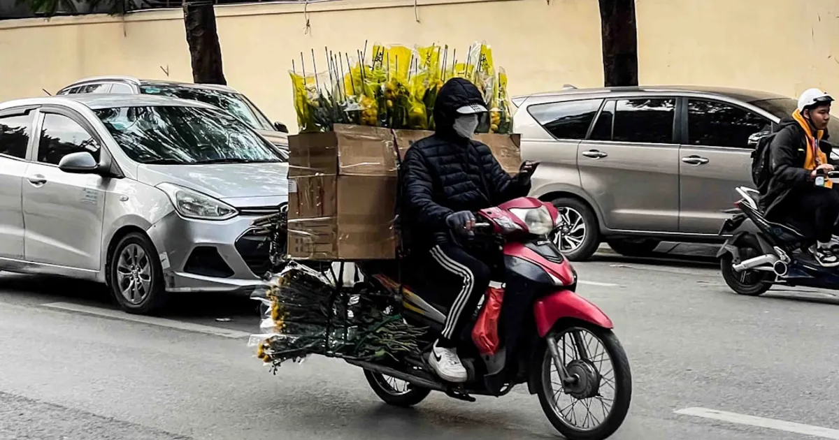 Does USPS Deliver on Saturday? Weekend Delivery Guide