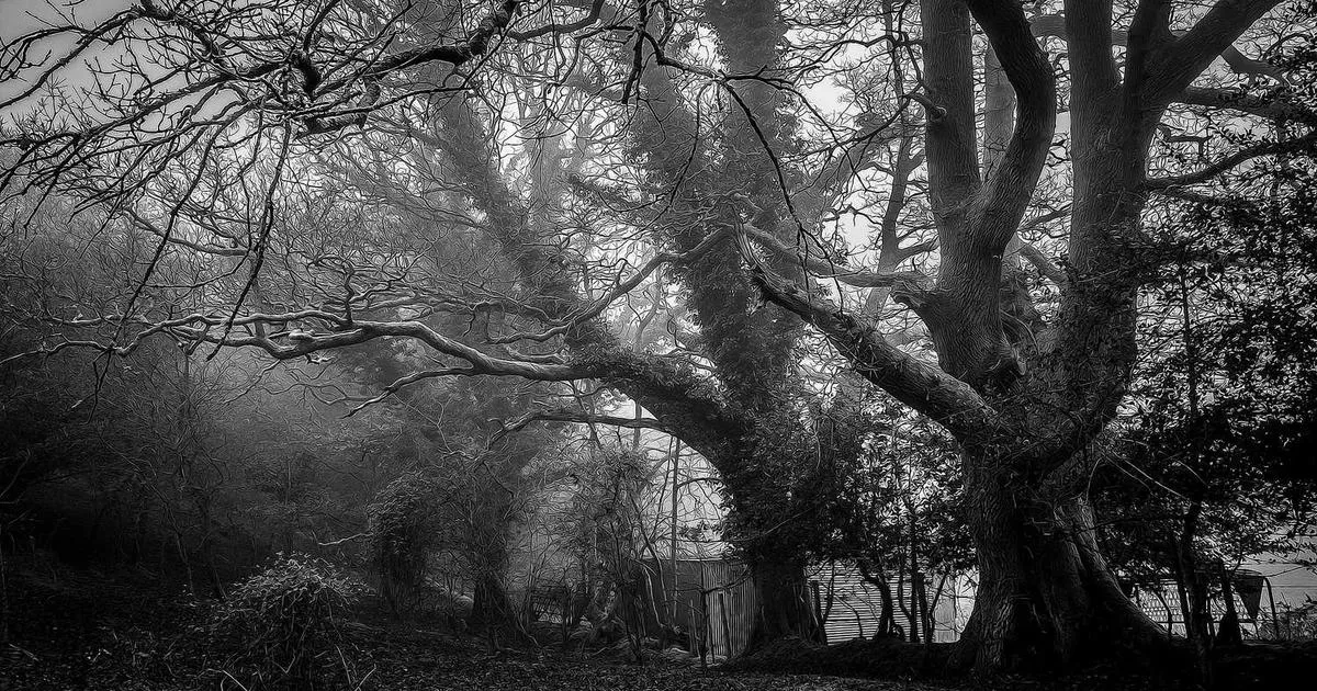 Walmart Marketplace Shipping: Requirements & Best Practices