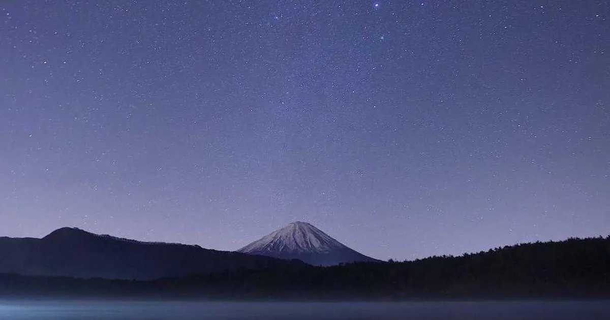 Warehouse Shipping Workflow: Optimize Your Operations